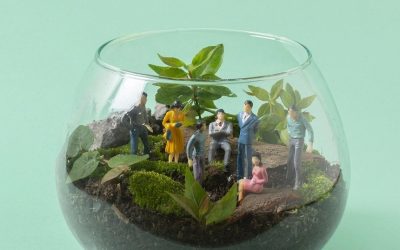 Public Relations and Sustainability